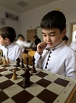Шахматный турнир «Храбрая пешка»